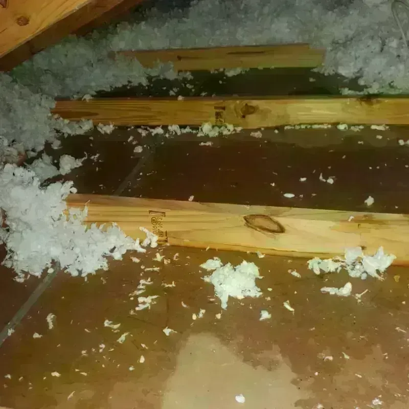 Attic Water Damage in Burke County, GA