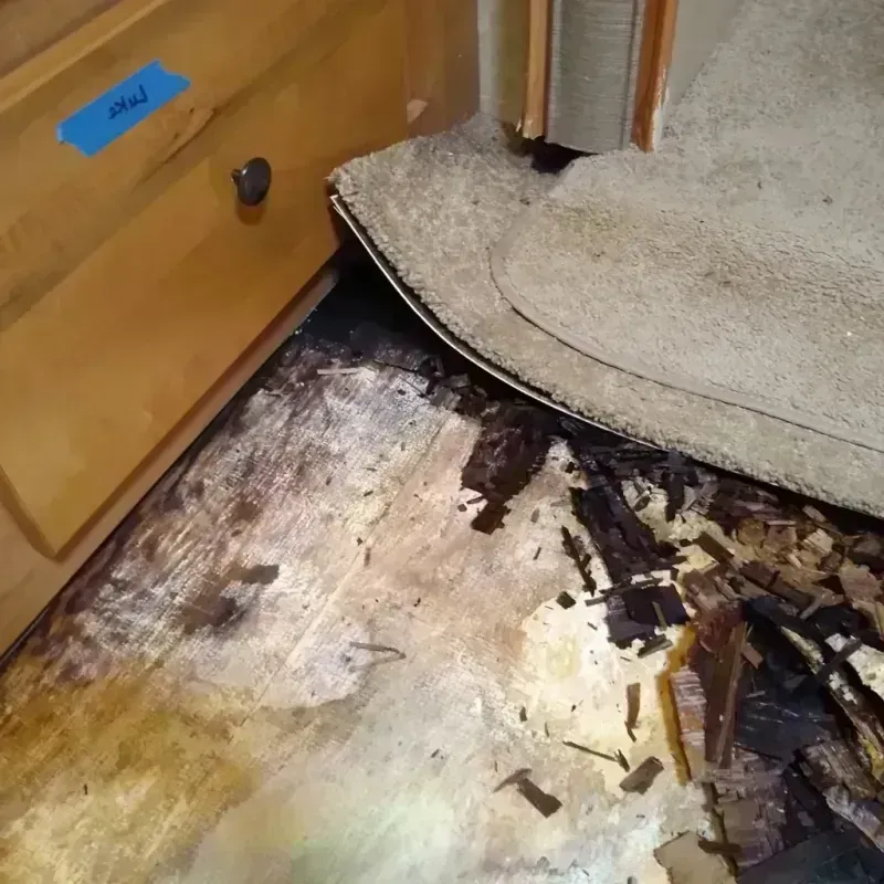 Wood Floor Water Damage in Burke County, GA